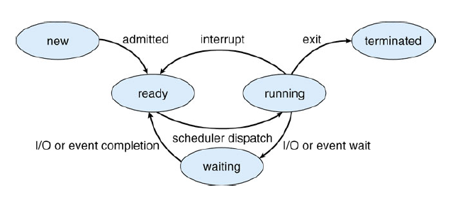 image-20201113023250367